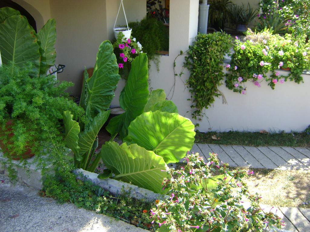 Apartments Radulovic Biograd Na Moru Εξωτερικό φωτογραφία
